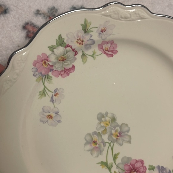 Vintage Homer Laughlin Virginia Rose Dinnerplate dinnerware - Picture 3 of 7
